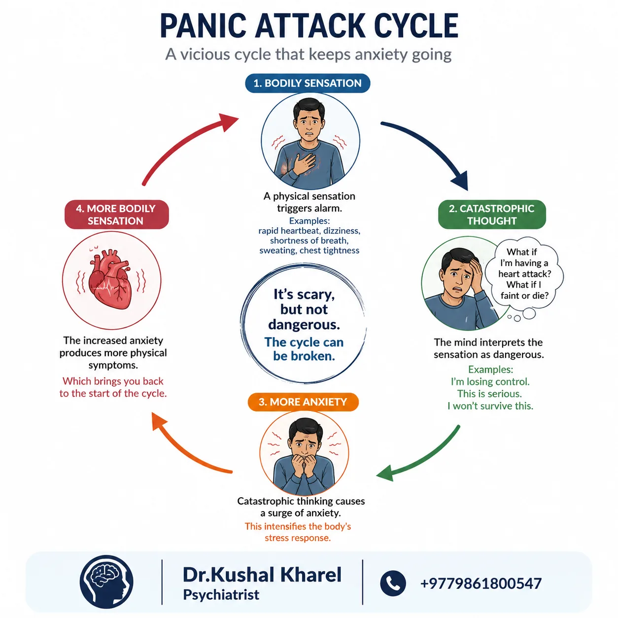 Diagram of the panic attack cycle: bodily sensation, catastrophic thought, more anxiety, and more bodily sensation looping back